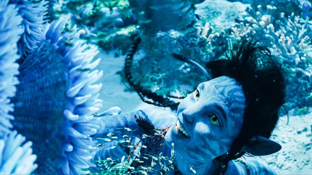 Avatar di James Cameron torna al cinema in 4K per prepararci all’uscita del sequel di dicembre
