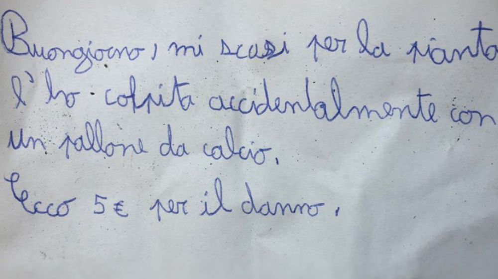 Bambino di 11 anni colpisce una pianta con un pallone, lascia un biglietto di scuse e 5 euro