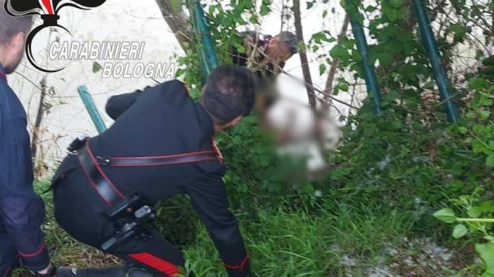 Bambino si allontana da casa e cade nel fiume. Salvato dai Carabinieri di Imola