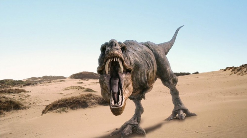 Cina, trovate orme di dinosauro del Cretaceo. La scoperta nell'area meridionale del Paese