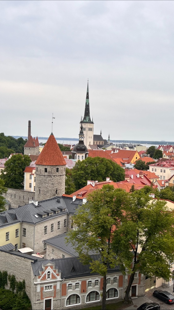 Come vanno i rapporti tra Italia ed Estonia: parla l'ambasciatore italiano a Tallinn