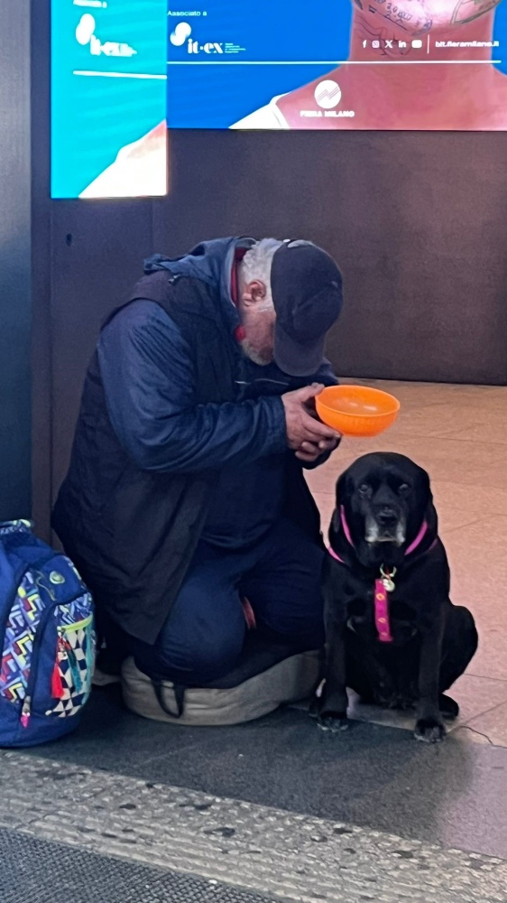 Contrasto del racket che sfrutta gli animali, raggiunto il quorum delle firme per la proposta di legge di iniziativa popolare