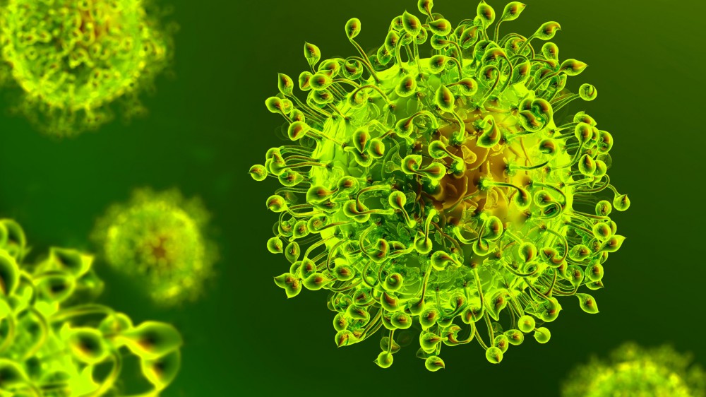 Coronavirus: Figliuolo, raggiungeremo l'immunità di gregge entro la fine di settembre