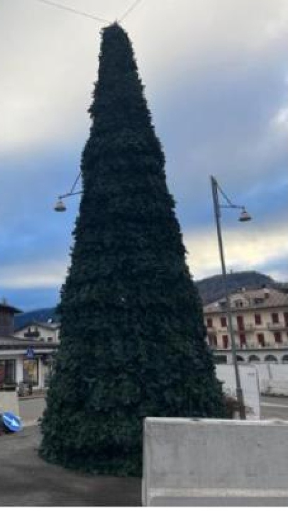 Cortina, l'albero di Natale di plastica fa arrabbiare gli ambientalisti: "Ridicolo"