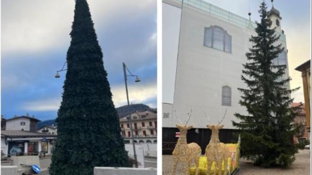 Cortina, l'albero di Natale di plastica fa arrabbiare gli ambientalisti: "Ridicolo"