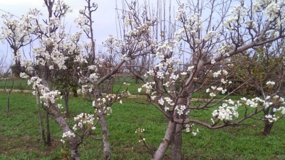 Dopo il Natale "bollente" arrivano venti freddi nel weekend