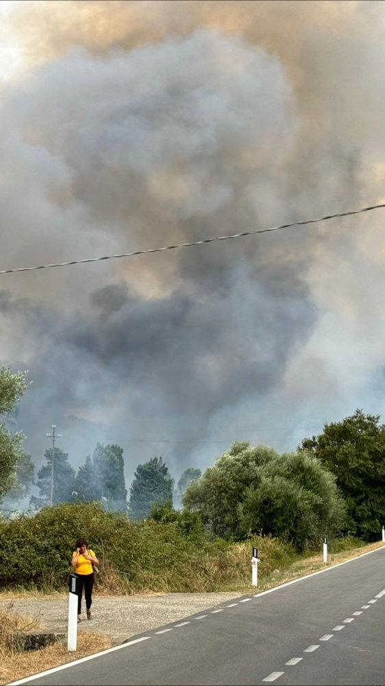 Emergenza incendi in Italia, oltre 56.000 ettari distrutti in sette mesi, cresce la minaccia alle aree protette