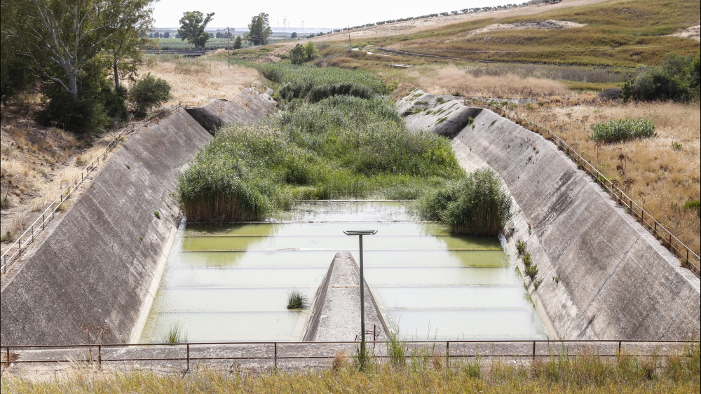 Estate bollente, in assenza di pioggia tra tre settimane non ci sarà più acqua per l’agricoltura nel Centrosud