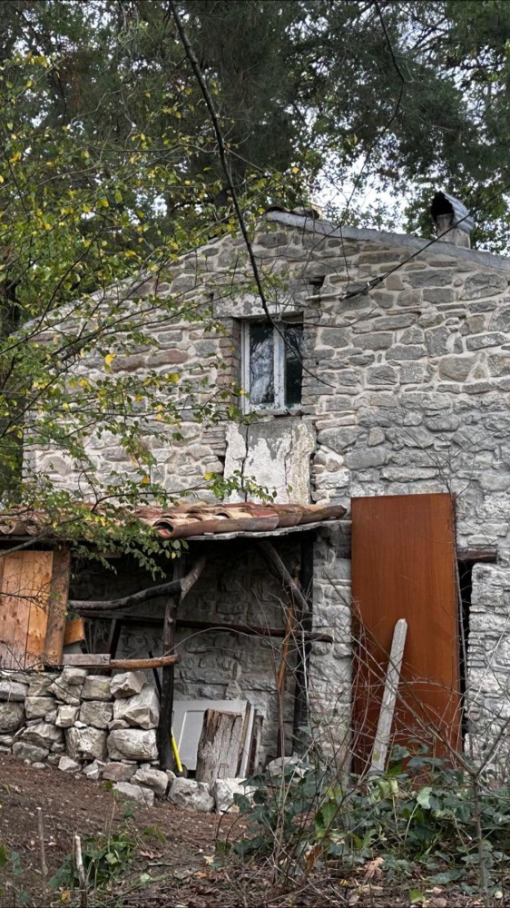 Famiglia nel bosco, il Natale nella casa famiglia. Disposta perizia psichiatrica per i genitori