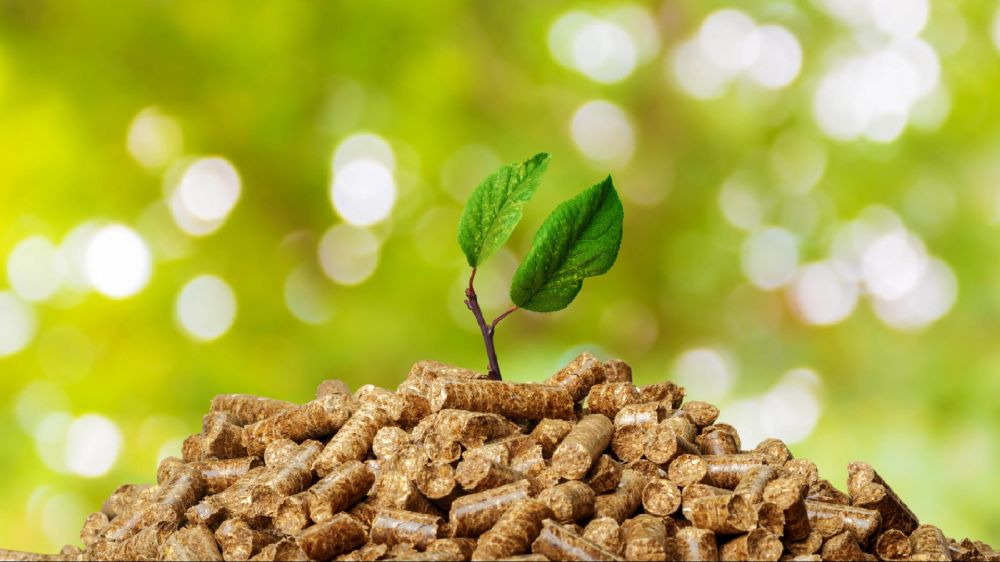 Genova, Festival della scienza, in agricoltura sfruttare di più le biomasse e gli scarti