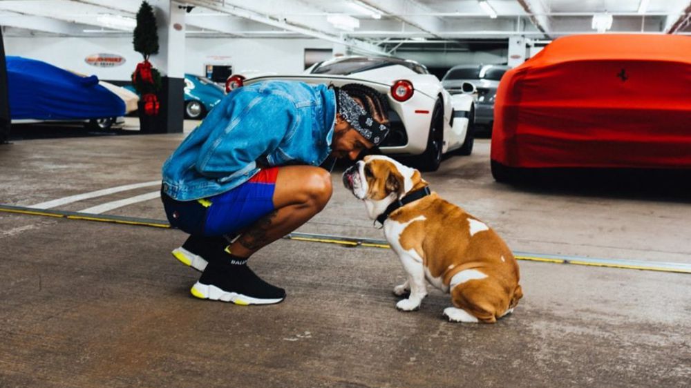 Formula 1, Hamilton annuncia la morte del cane Coco: "Il mio cuore è spezzato"
