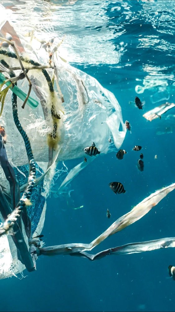 Giornata mondiale dell’ambiente: la plastica arriva nelle arterie