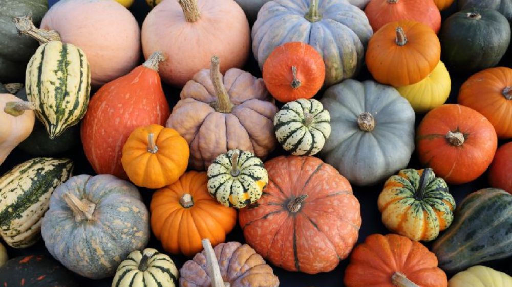 Halloween, le prenotazioni nei ristoranti crescono del 60%