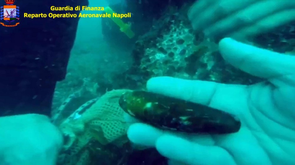 I Faraglioni di Capri danneggiati dalla raccolta illecita dei datteri di mare, 19 misure cautelari