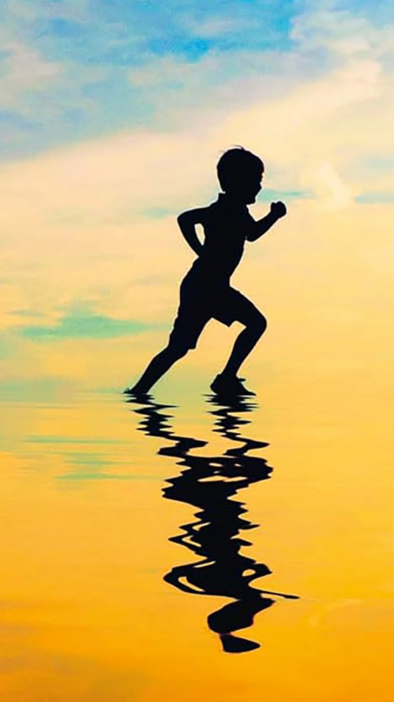 I libri da leggere della settimana, tra “Domanda numero 7”, “Skippy muore”, “Vita tra i selvaggi” e “Le stelle brillano più forte”