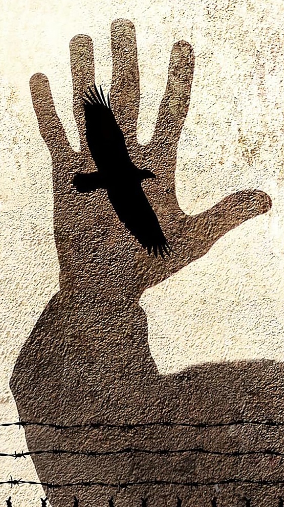 I libri da leggere della settimana, tra “L’isola del giorno prima”, “Quegli oscuri presagi”, “The Waterfall” e “Prigionieri”