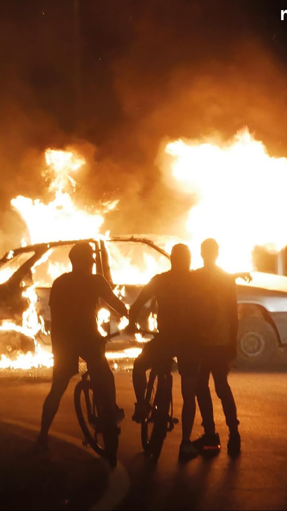 I libri da leggere della settimana, tra “Piacere, Nico”, “La ragazza che ascoltava i gatti”, “Il test” e “Il paradosso della diagnosi”