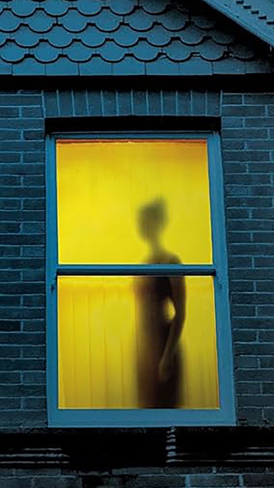 I migliori libri da leggere della settimana, tra “Il dolore dell’oca”, “I segreti di Stephen King”, “La colpevole” e “Slender Man”