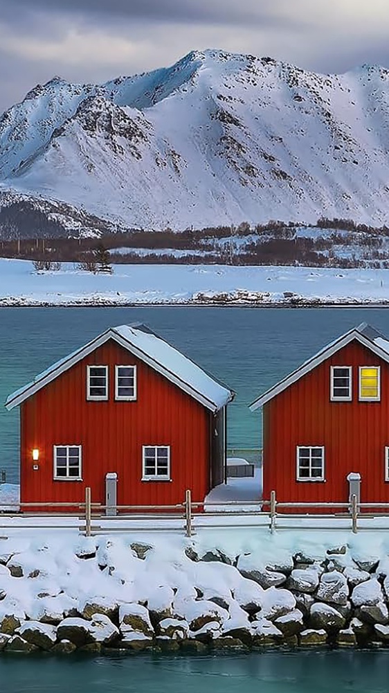 I migliori libri da leggere della settimana, tra “L’isola del passato”, “Il segnale”, “Treno infernale per l’Angelo Rosso” e “Ragazzi che pensano troppo”