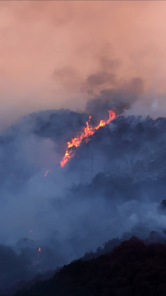 Incendi Los Angeles, il cinema si mobilita per dare sostegno a chi ha perso tutto