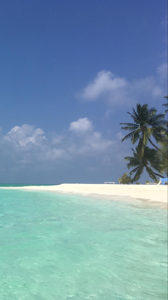 Individuati i corpi dei quattro sub italiani morti durante un’immersione alle Maldive, il recupero tra martedì e mercoledì