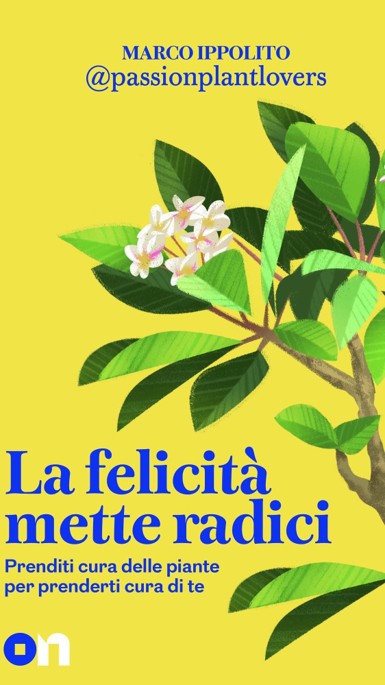 La felicità mette radici, con Marco Ippolito scopriamo i retroscena del suo libro