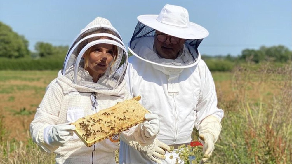La siccità provoca una drastica riduzione di miele in Italia, lo evidenzia Coldiretti, in 10 anni addio a 1 vasetto su 4