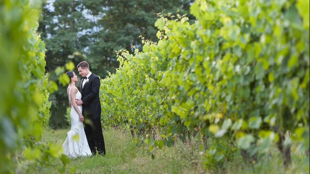 Matrimoni, è svolta green tra i giovani, 4 su 10 cercano cerimonia sostenibile