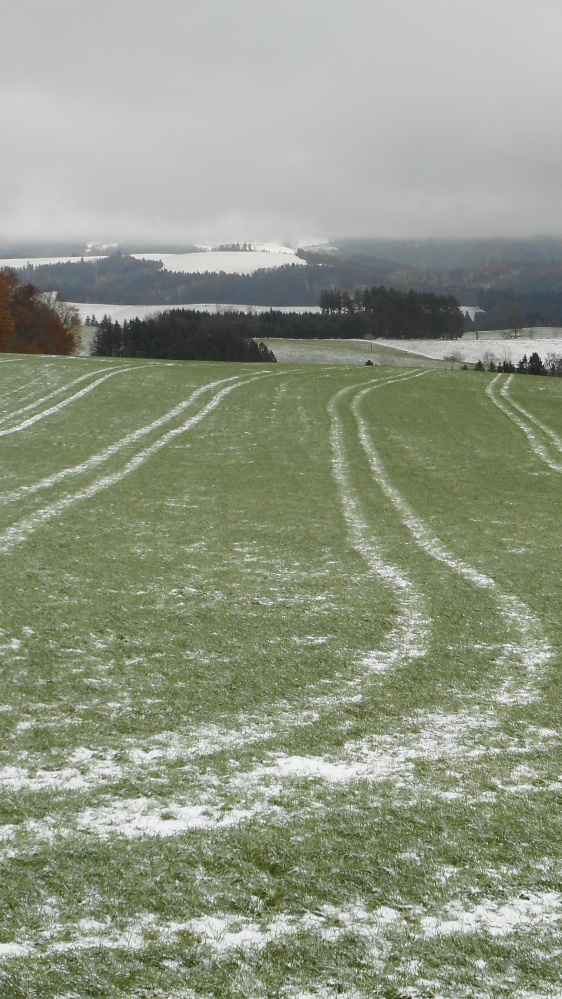 Neve e vento, prosegue il maltempo artico su buona parte dell'Italia, per sabato previsti meno sei gradi in pianura padana