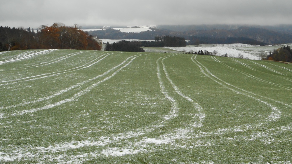 Neve e vento, prosegue il maltempo artico su buona parte dell'Italia, per sabato previsti meno sei gradi in pianura padana