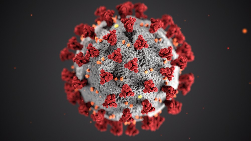 Non solo Coronavirus, quali sono gli altri virus che preoccupano l'Organizzazione Mondiale della Sanità