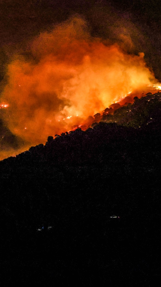 Oggi, 28 Luglio, è la Giornata Europea contro gli Incendi Boschivi, un’emergenza attualissima