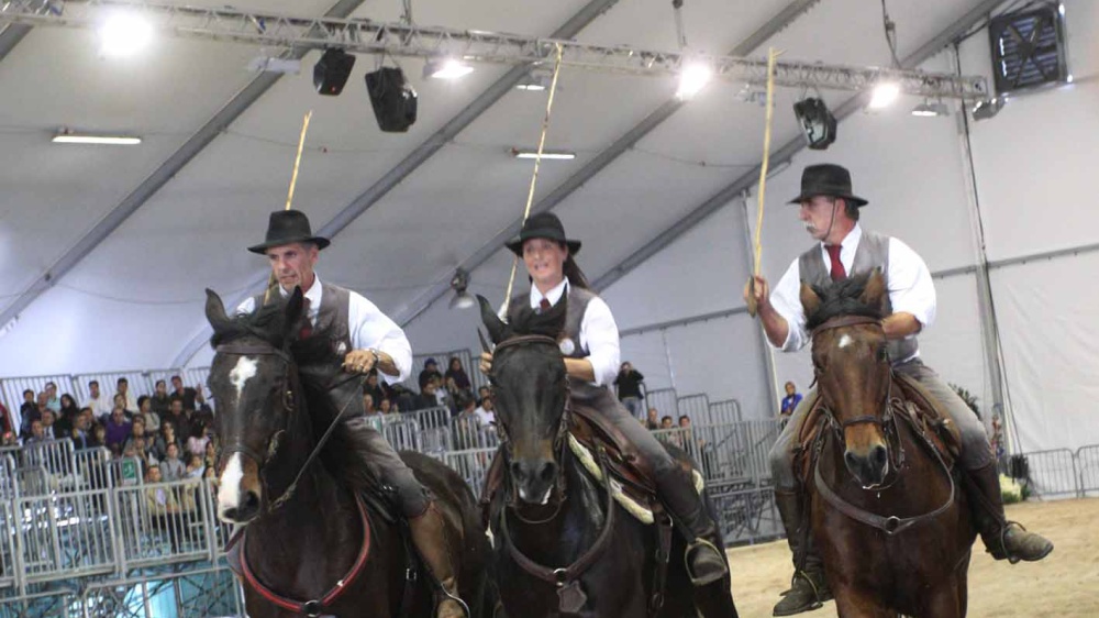 Oggi al via, a Verona, la 125esima edizione di "Fieracavalli", il salone internazionale del mondo equestre
