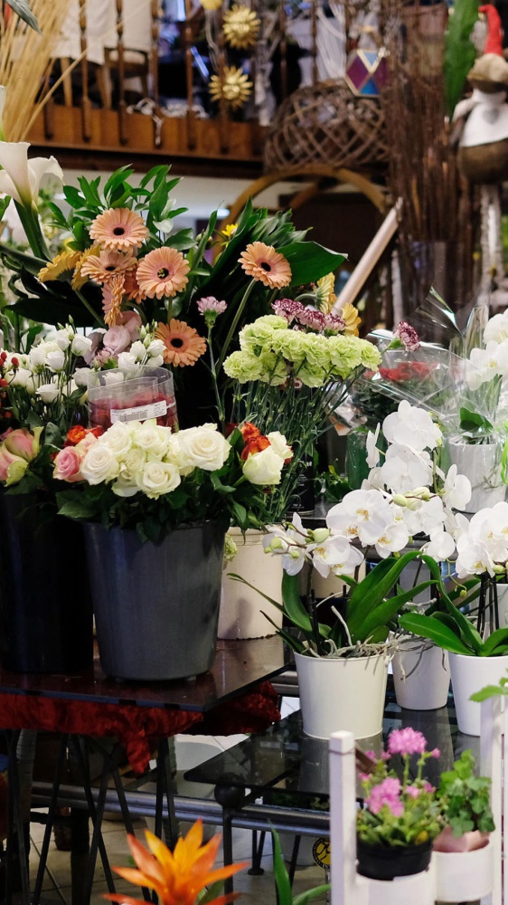 Oggi domenica 10 maggio si celebra la Festa della Mamma, tra i regali piante, fiori e dolci
