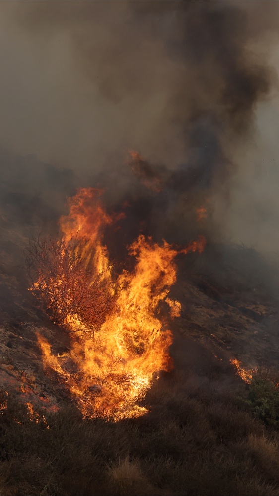 Oscar 2025, gli incendi di Los Angeles fanno slittare l’annuncio delle nomination