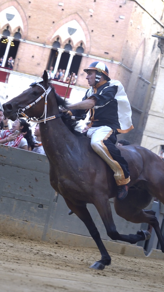 Palio di Siena, stasera alle 19.30 la tradizionale giostra equestre