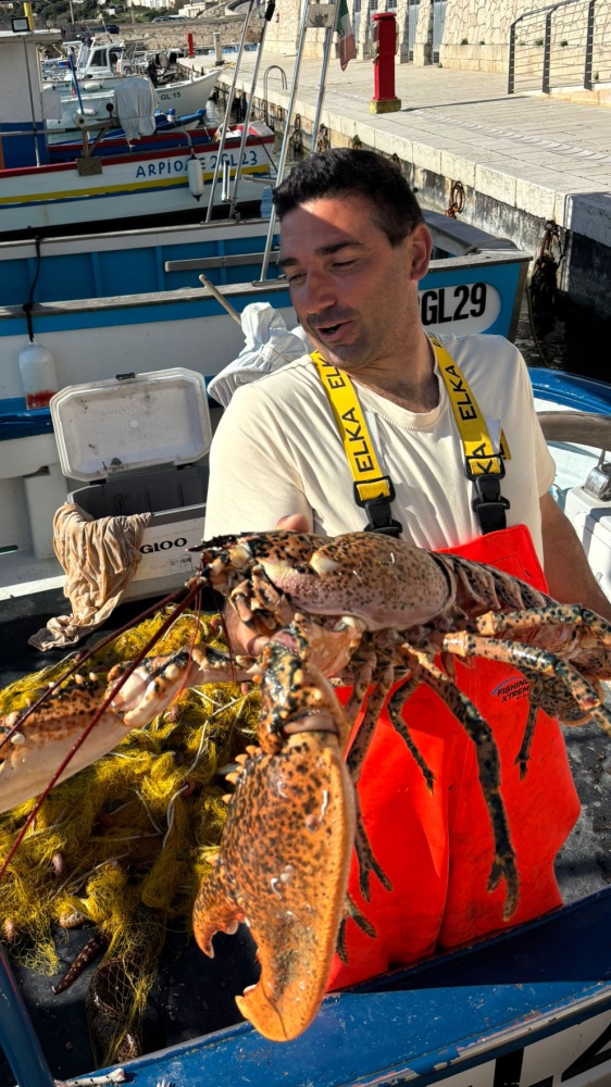 Pesca record in Salento: a Tricase catturato un astice di 6 kg. Mai visto così grande!