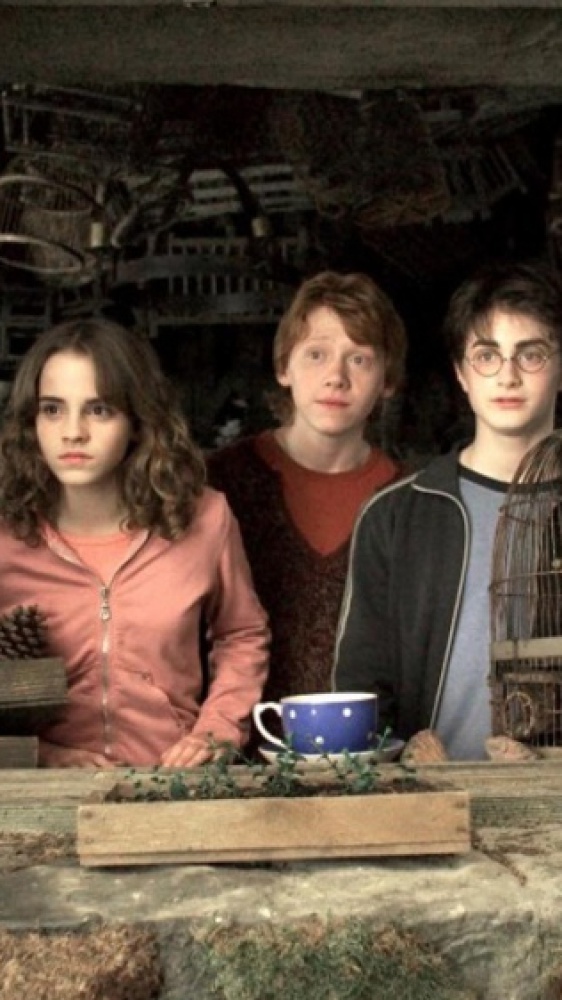 Prime Video, novembre 2024: In arrivo la saga di Harry Potter e la trilogia del Cavaliere Oscuro