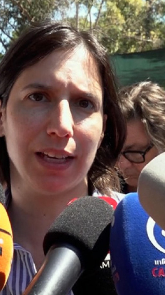 Regionali, Schlein accelera: "Siamo uniti". Ma in Puglia Decaro rilancia e sfida l’Alleanza Verdi e Sinistra