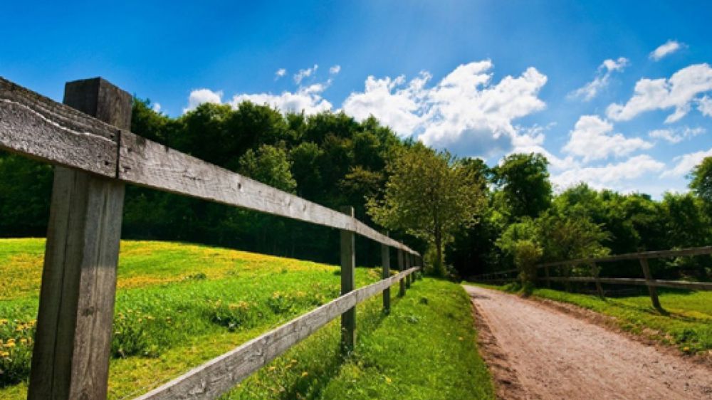 Sostenibilità, 42,5 mln di italiani hanno adottato comportamenti green