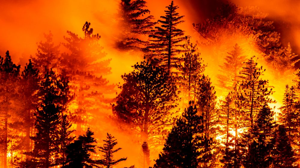 Stati Uniti, divampano gli incendi nella costa ovest, bruciano Oregon, California e Washington, oltre 30 i morti