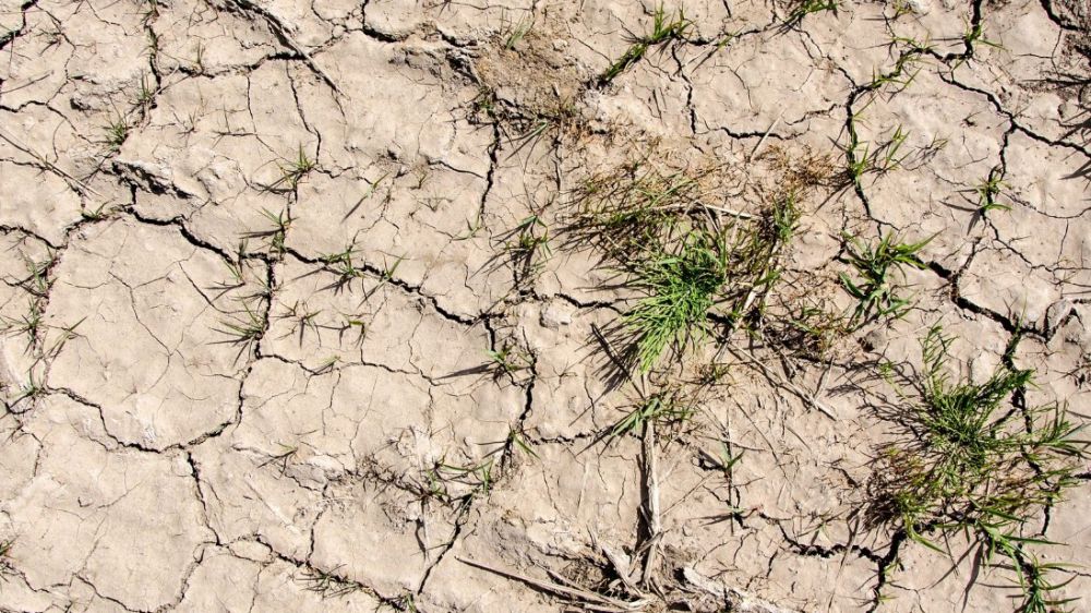 Territorio, in Italia più del 4% è sterile, oltre 21% a rischio desertificazione