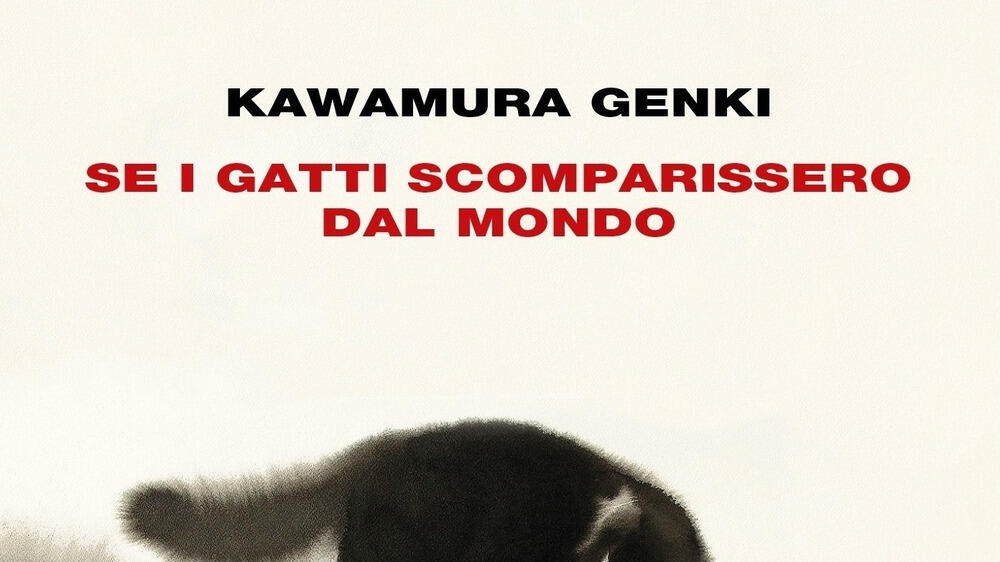 Un libro per l'estate: Se i gatti scomparissero dal mondo di Genki Kawamura, una favola per tutti