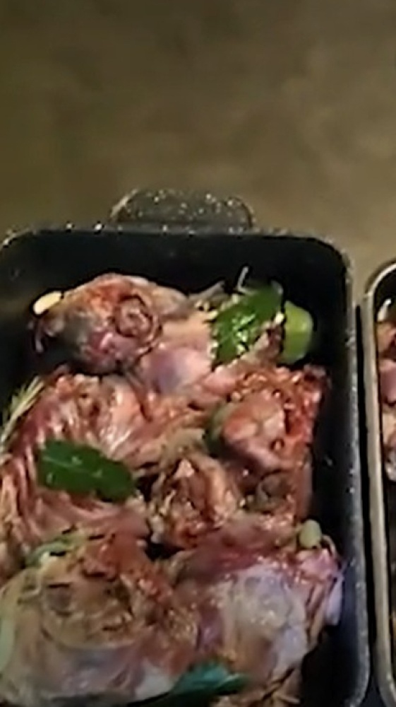 Un sindaco sui social propone il ragù di nutrie, l'ira del prof. Bassetti. Ecco perché può essere pericoloso