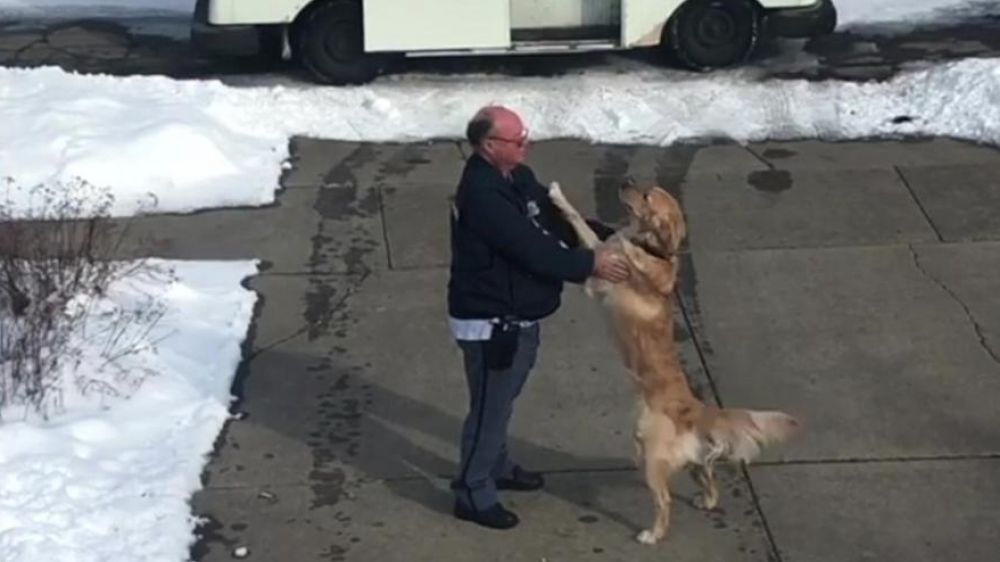 Usa, il cane che ogni giorno aspetta il postino nello stesso luogo per salutarlo