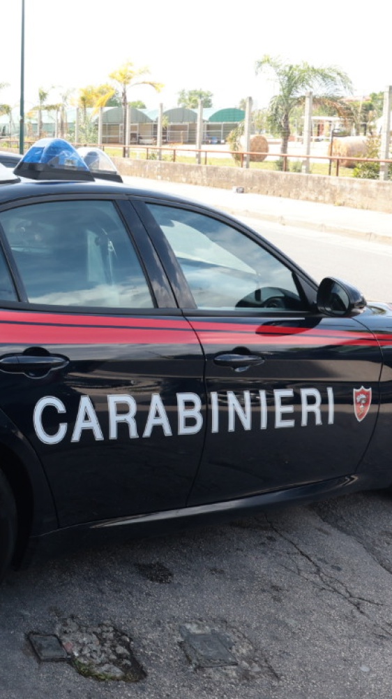 Vendevano droga online spacciandola per piatti tipici della tradizione, 14 arresti