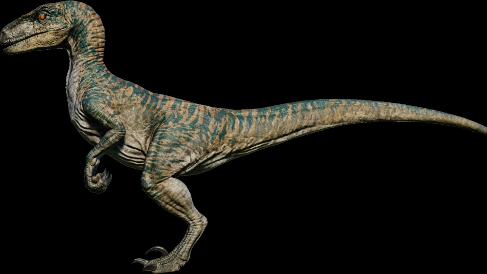 Venduto all'asta lo scheletro di dinosauro che ha ispirato Jurassic Park, è stato pagato 12,4 milioni di dollari