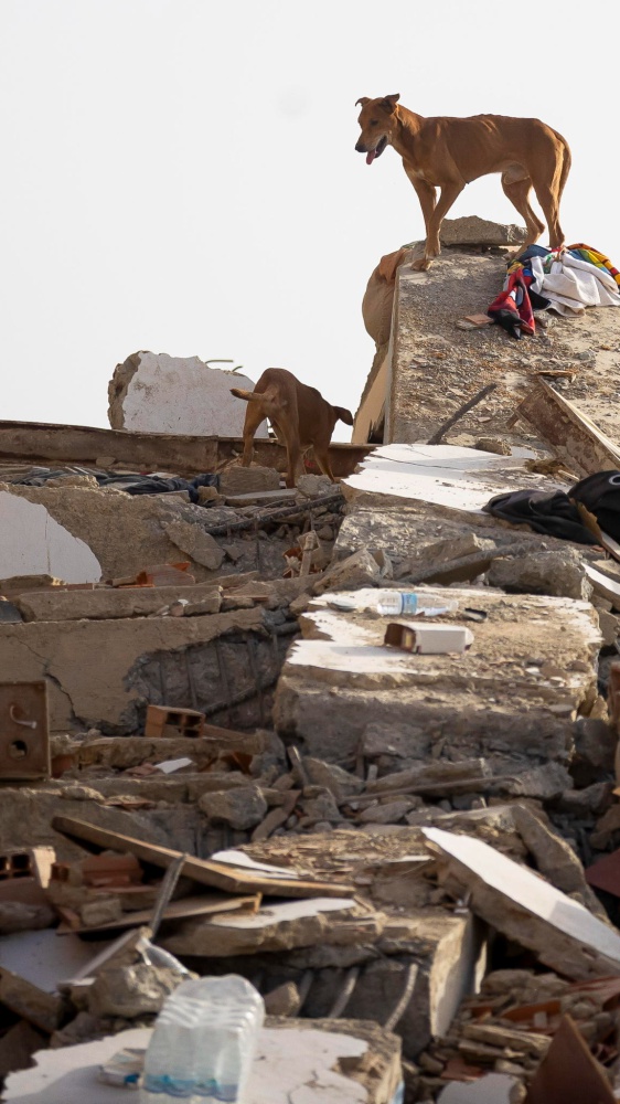 Venezuela in ginocchio dopo il terremoto. 50 mila dispersi, oltre 500 le vittime