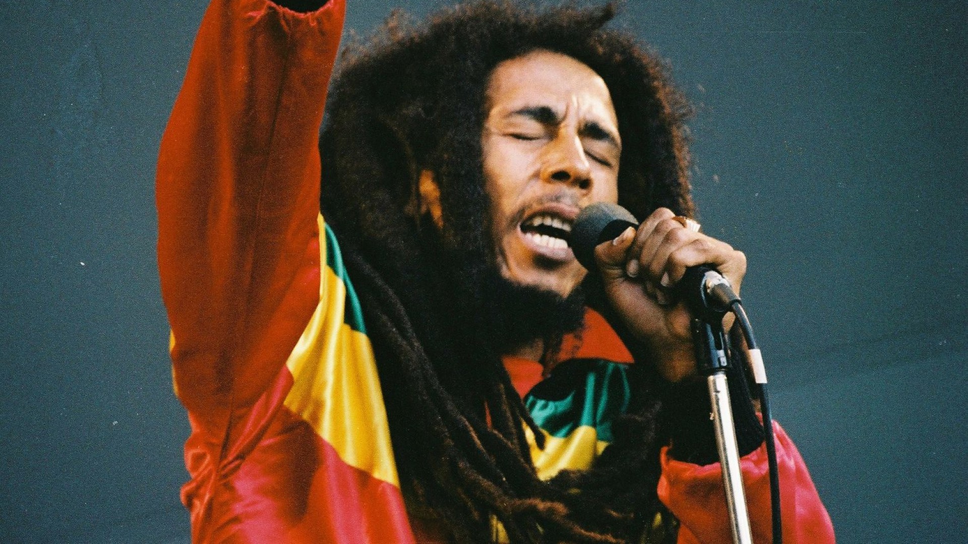 Arazzo Bob Marley Faccia Di Leone, Poster Tessuto 100% Cotone 40x30 Pollici, Multicolore