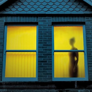 I migliori libri da leggere della settimana, tra “Il dolore dell’oca”, “I segreti di Stephen King”, “La colpevole” e “Slender Man”